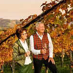 Weingut-wohlfuehlzimmer Adam-lieleg ファームステイ