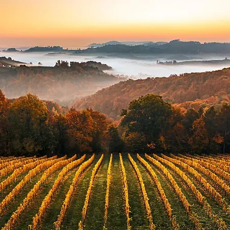 Weingut-wohlfuehlzimmer Adam-lieleg *