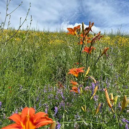 Weingut-wohlfuehlzimmer Adam-lieleg * Leutschach