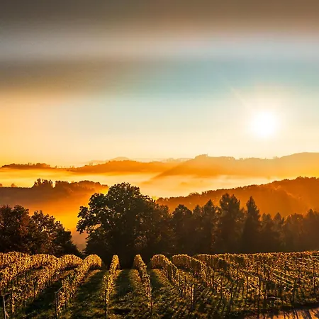 Alojamento de Turismo Rural Weingut-wohlfuehlzimmer Adam-lieleg Leutschach