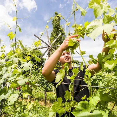 Weingut-wohlfuehlzimmer Adam-lieleg ファームステイ *