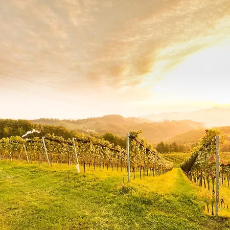 Weingut-wohlfuehlzimmer Adam-lieleg ファームステイ ロイトシャッハ