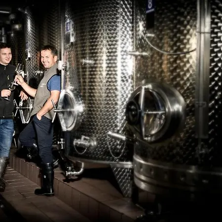 Weingut-wohlfuehlzimmer Adam-lieleg Farmház *