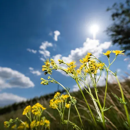 Weingut-wohlfuehlzimmer Adam-lieleg *