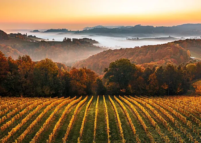 Weingut-wohlfühlzimmer Adam-lieleg *