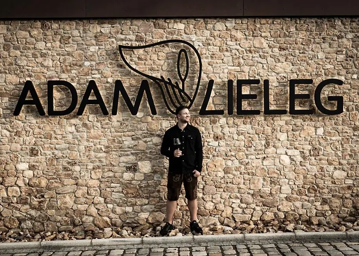 Weingut-wohlfühlzimmer Adam-lieleg Leutschach