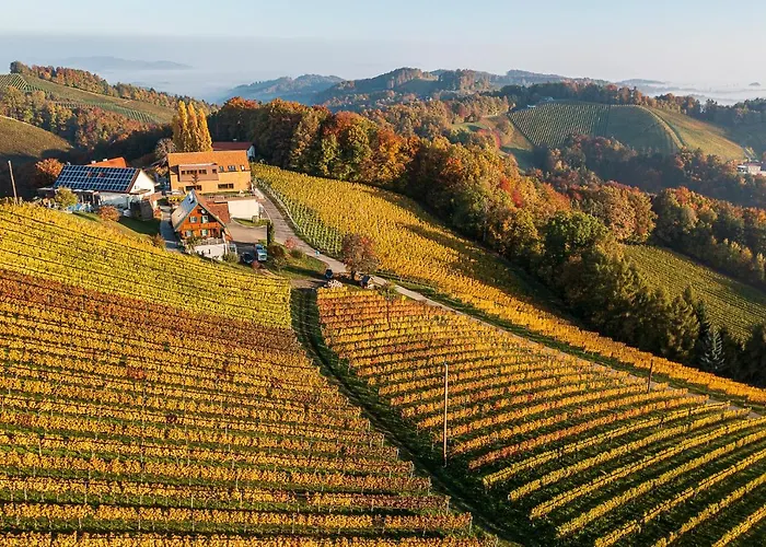 Bauernhof Weingut-wohlfühlzimmer Adam-lieleg Leutschach