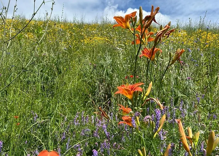 Weingut-wohlfühlzimmer Adam-lieleg * Leutschach