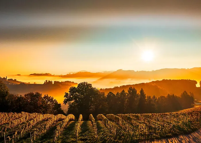 Bauernhof Weingut-wohlfühlzimmer Adam-lieleg Leutschach