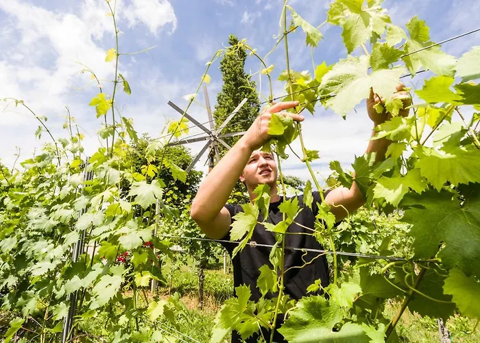 Weingut-wohlfühlzimmer Adam-lieleg Bauernhof *