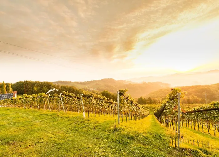 Weingut-wohlfühlzimmer Adam-lieleg Bauernhof Leutschach