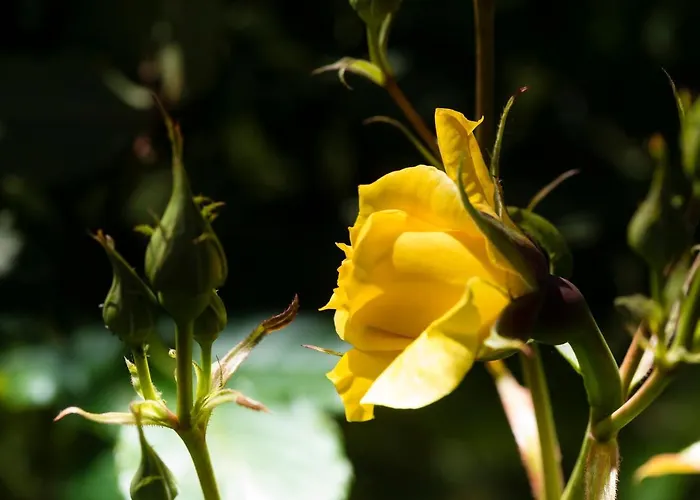 Weingut-wohlfühlzimmer Adam-lieleg Bauernhof *