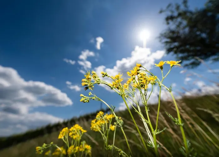 Weingut-wohlfühlzimmer Adam-lieleg *