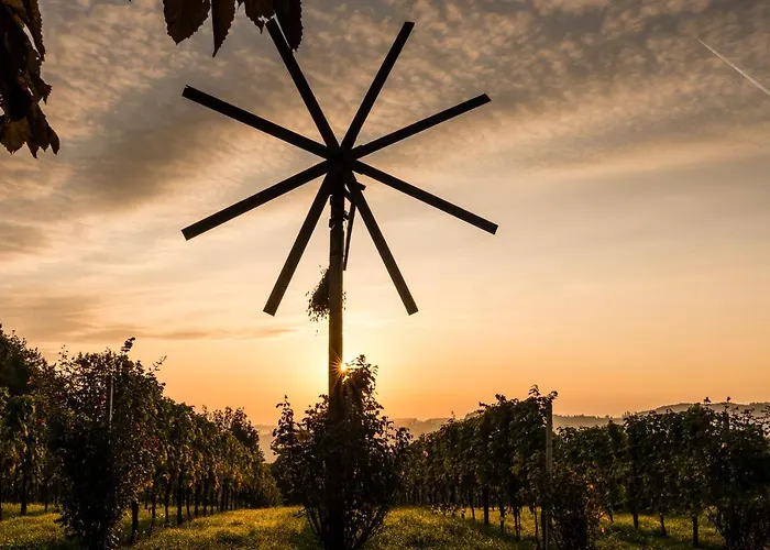 Bauernhof Weingut-wohlfühlzimmer Adam-lieleg